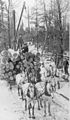 Image 91Logs being transported on a sleigh after being cut (from History of Wisconsin)