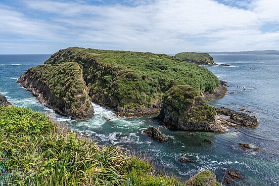 Paysage du littoral de la province de Chiloé, près d'Ancud (Chili). (définition réelle 7 008 × 4 672)