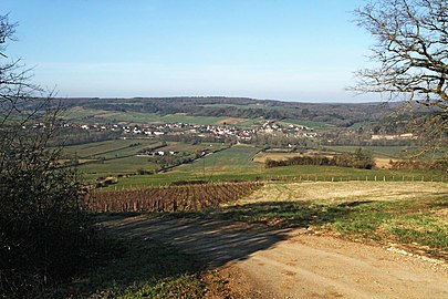 Asquins et son vignoble à vins de Bourgogne. Vue vers l'ouest depuis la Tournelle.