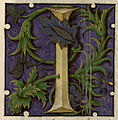 Lettrine I, f.35r.