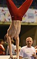 Willi Leonhard Binder im Handstand an einer Pausche des Pferdes während des Trainings