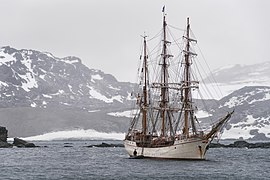 Bark Europa at Signy