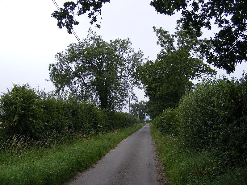 File:Guestwick Lane - geograph.org.uk - 2525275.jpg