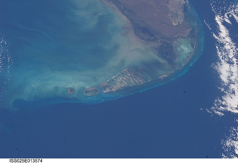 File:ISS025-E-13574 - View of Florida.jpg