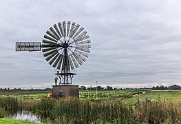 Natuurgebied Petgatten De Feanhoop. 19-10-2020. (actm.) 29