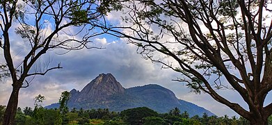 Beauty of Kanhirapuzha.jpg