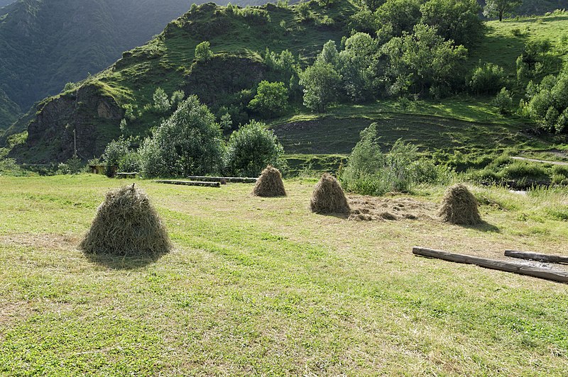 File:Shatili haystacks, Georgia.jpg