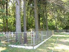 Military cemetery from World War I and World War II in Dąbrowa Tarnawacka near Tarnawatka (9).jpg