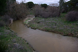 Skyline of Nava de Arévalo