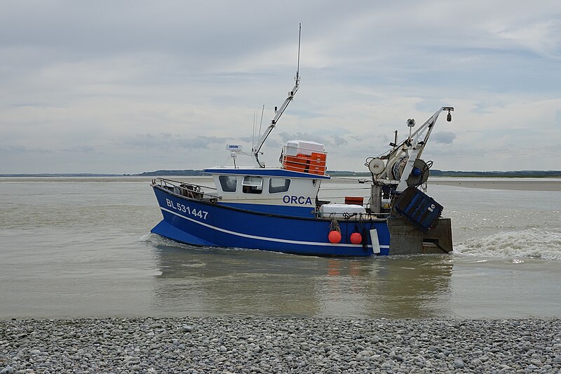 File:Chalutier crevettier trémailleur (1981) dans la baie de Somme (Cayeux-sur-Mers).jpg