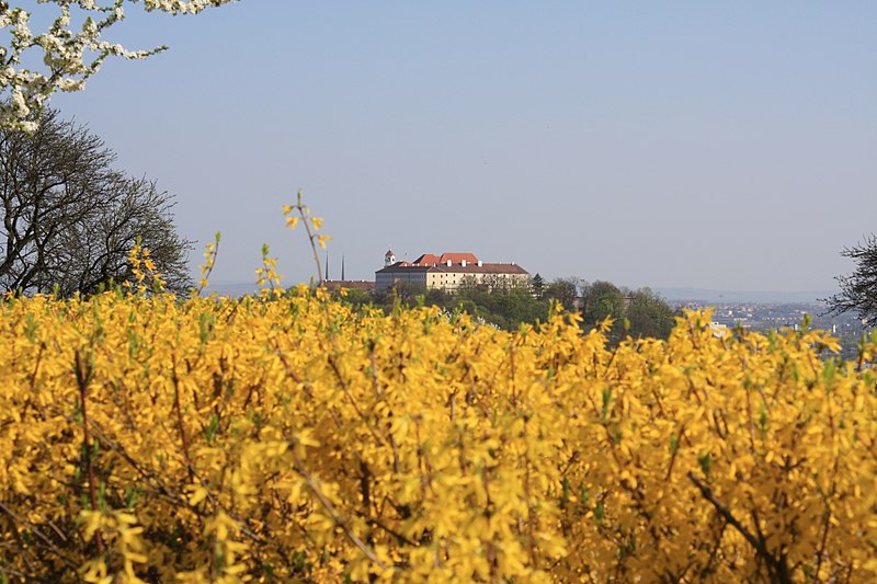 File:Spilberk Castle, Brno (CZ) - panoramio.jpg