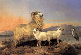 A Ewe with Lambs and A Heron Beside A Loch, peinture de Richard Ansdell, 1867.