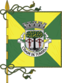 Bandeira de Tondela