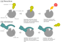 Competitive inhibition can also be allosteric, as long as the inhibitor and the substrate cannot bind the enzyme at the same time