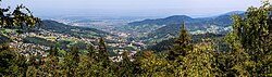 Skyline of Bühlertal