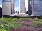 Lurie Garden mit dem Jay Pritzker Pavilion und dem Randolph Street Wolkenkratzern im Hintergrund