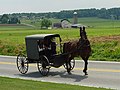 An Amish family in a horse-drawn square buggy.