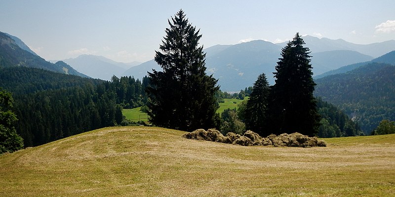 File:Wiese - panoramio (11).jpg