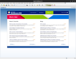 NetBeans IDE 11.0