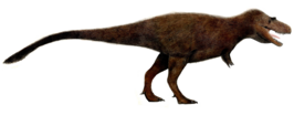 Gorgosaurus