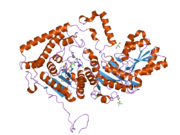 2bfe: REACTIVITY MODULATION OF HUMAN BRANCHED-CHAIN ALPHA-KETOACID DEHYDROGENASE BY AN INTERNAL MOLECULAR SWITCH