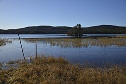 Ytter-Holmsjöns norra strand. Ön heter Lillholmen.