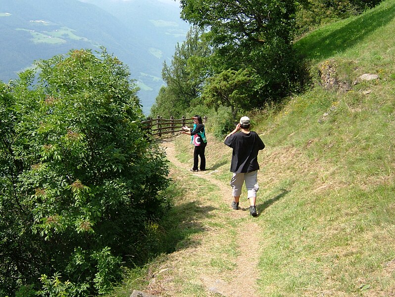 File:2008 0707 80090 Hiking in South Tyrol Naturns R0523.jpg