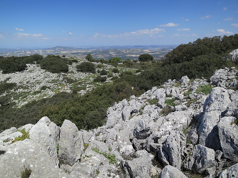 File:Cruz de Marbella (26569139126).jpg