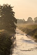 Drainage ditch, Dülmen, North Rhine-Westphalia