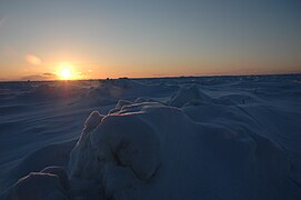 Frozen Bering Strait.jpg