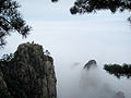 "Monkey gazing at the sea of clouds"