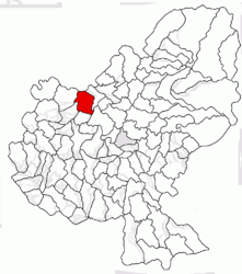 Location in Mureș County