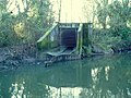 A storm drain discharging into the River Brent in the UK