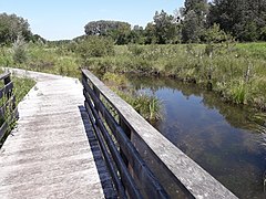 Sentier pédagogique de la Trye - marais de Bresles