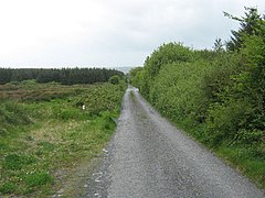 The lane to Knockaskeheen - geograph.org.uk - 1342651.jpg