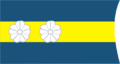 階級襟章（海軍中尉）