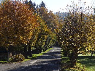 Mníšek : rue Nádražní.