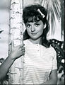 Dawn Wells op 28 augustus 1964 overleden op 30 december 2020