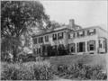 Ulmus americana as campus elm: Cambridge, Massachusetts