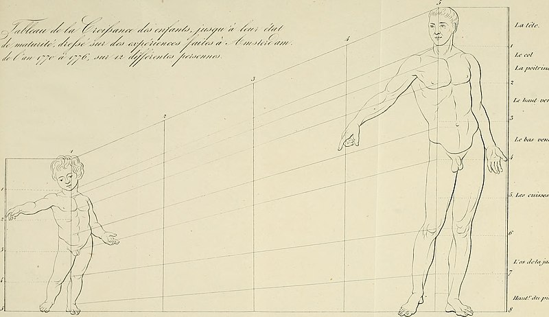 File:Mémoires de l'Académie royale des sciences, des lettres et des beaux-arts de Belgique (1832) (14586307589).jpg