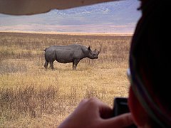 BLACK RHINO (2348973279).jpg