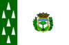 Bandeira de Cercedilla