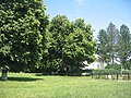 Biserica romano-catolică din Mitocu Dragomirnei - vedere dinspre sud-vest