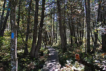 The "Brule Bog Boardwalk", a section of the North Country National Scenic Trail
