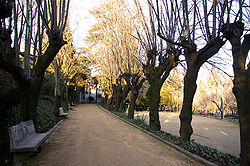 Can Cendra gardens, in Anglès