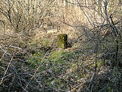 La borne envahie par la mousse jaunie et les ronces et arbustes sans feuilles en hiver.