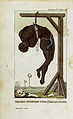 1792 : Captain John Stedman. A negro hung by his ribs from a gallows. Illustration by Cristoforo dall'Acqua for a 1818 Italian translation of the book. Pouvons-nous convenir que cette image convient ? La mer est bleue. Terre aussi.