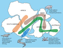Skema distribuo de fosilioj sur Pangea laŭ Wegener