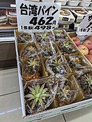 Taiwan pineapple at convenience store in central Tokyo.jpg