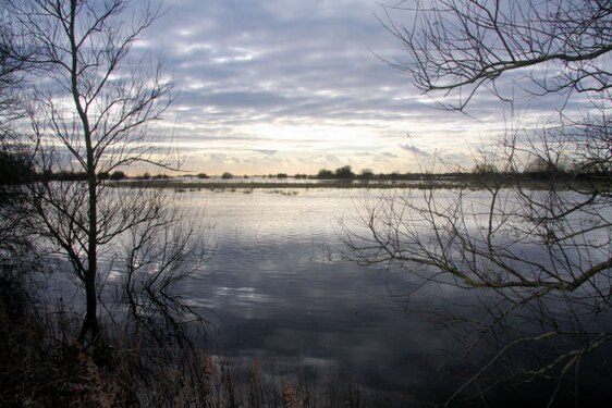 List of Sites of Special Scientific Interest in Norfolk